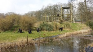 Whipsnade Zoo. Photo credit © L Rowe 2015